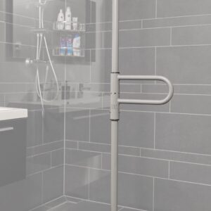 RVS Pakpaal met beugel